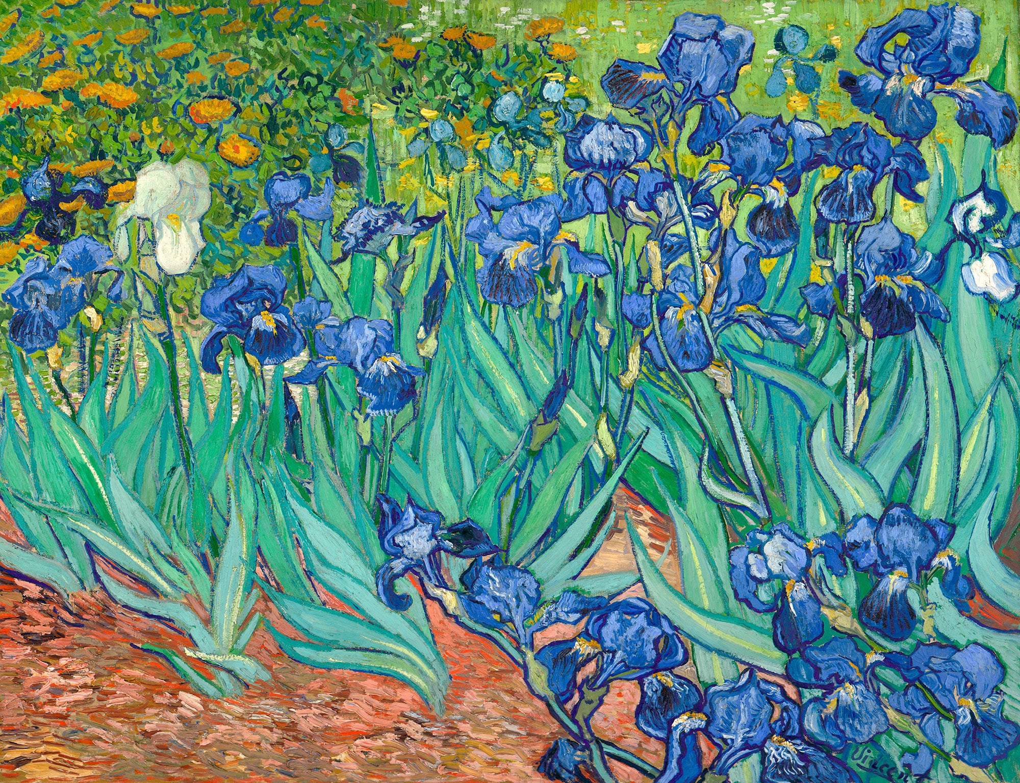 Vincent van Gogh y su obra maestra: los Lirios