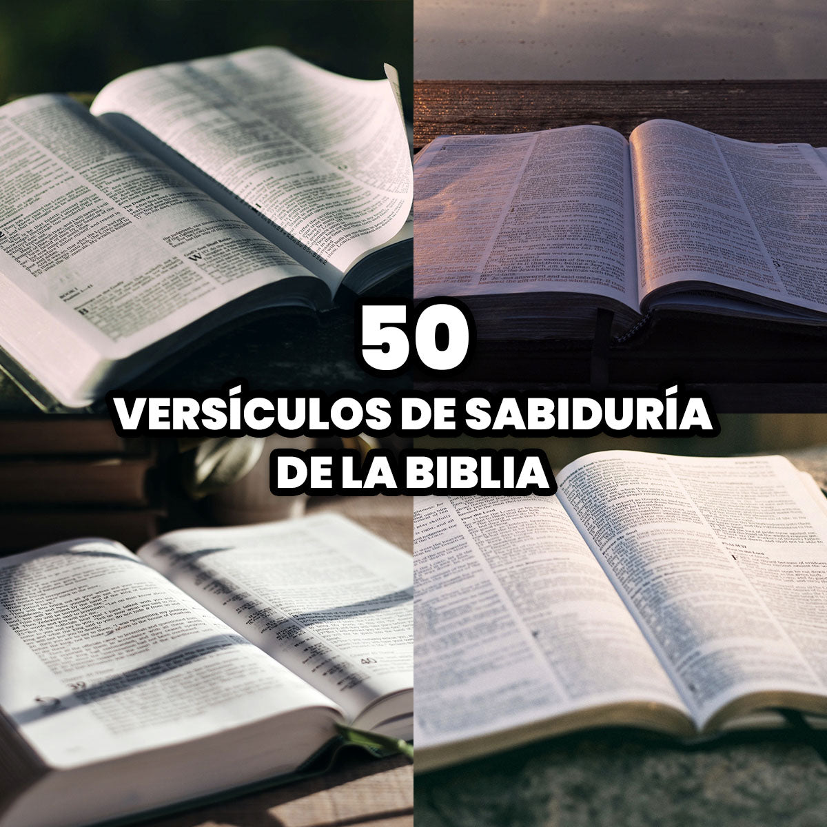 Los 50 Mejores Versículos de Sabiduría de la Biblia