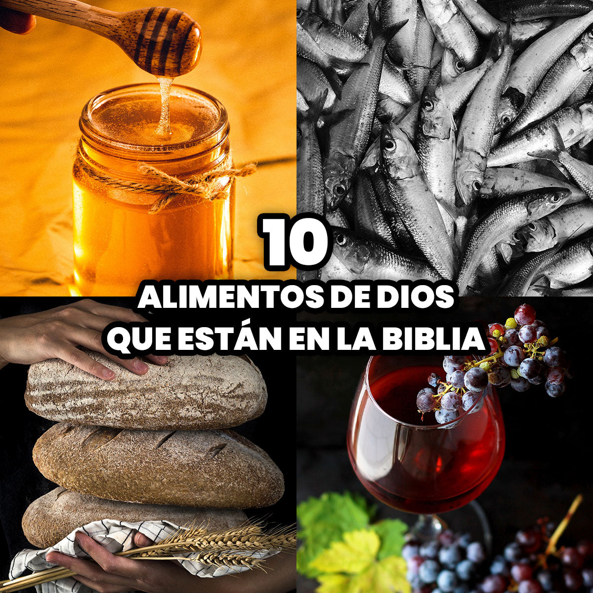 Los 10 Alimentos de Dios que están en la Biblia