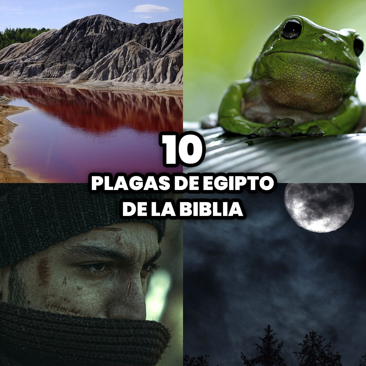 Las 10 Plagas de Egipto de la Biblia