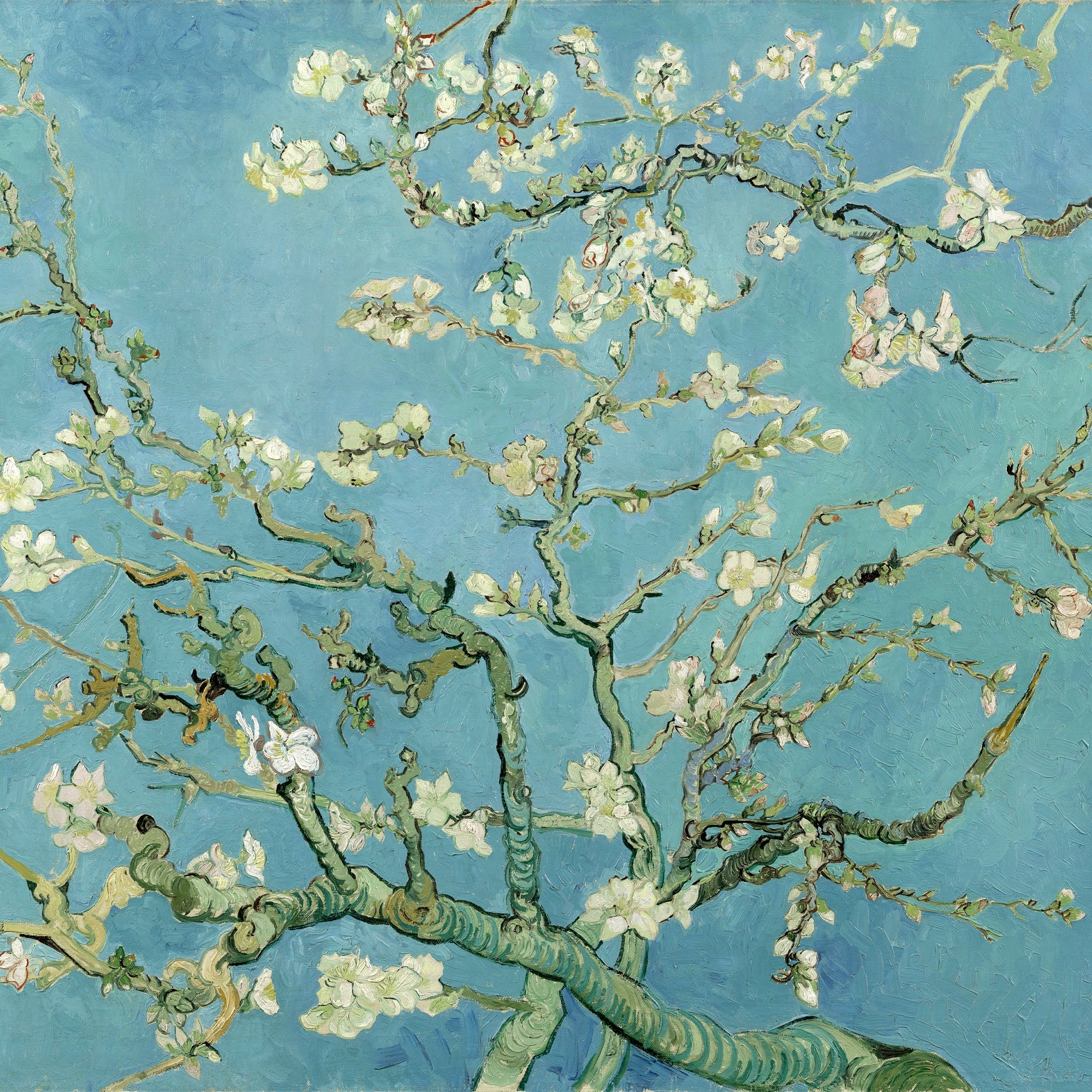 Vincent van Gogh