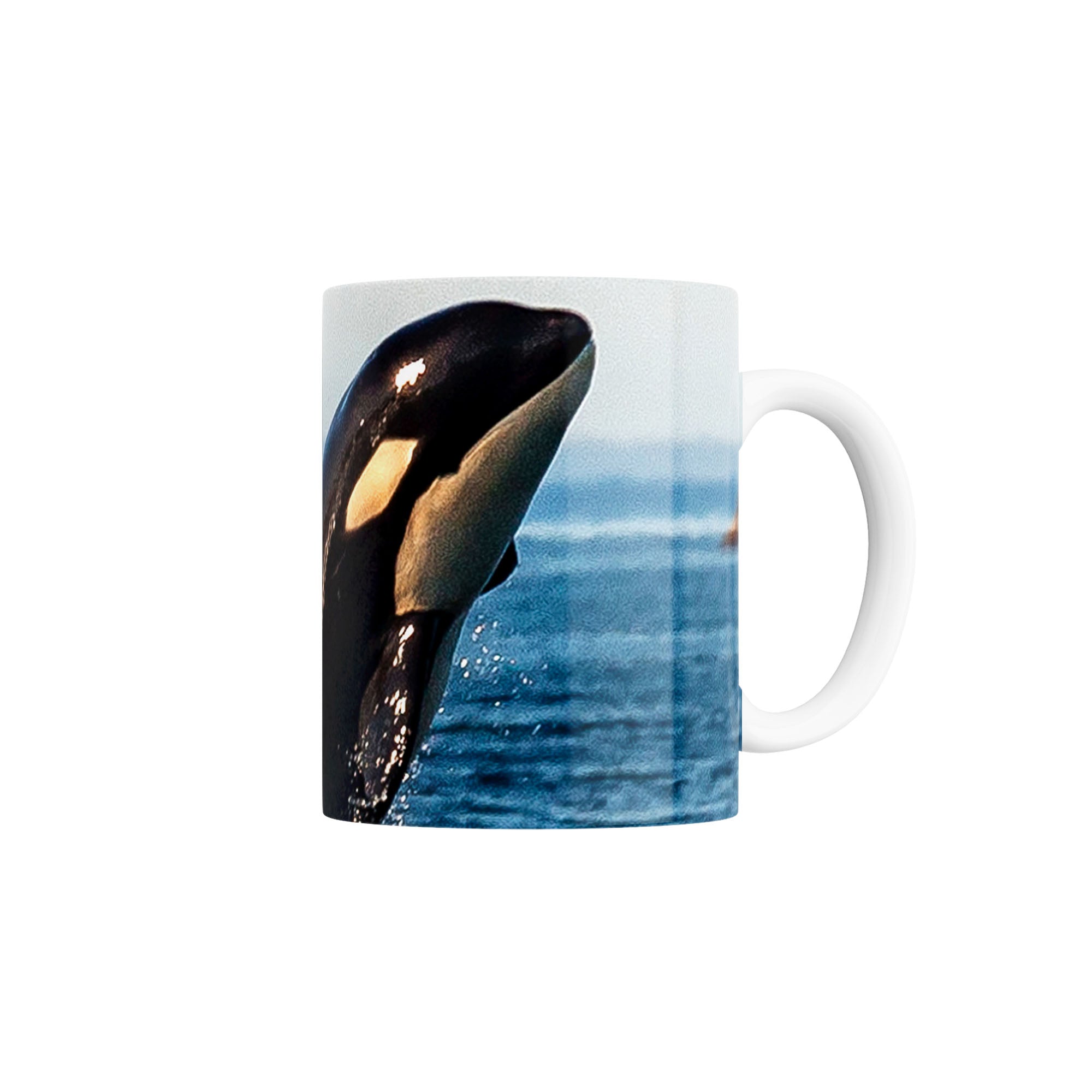 Taza Orca saliendo del mar