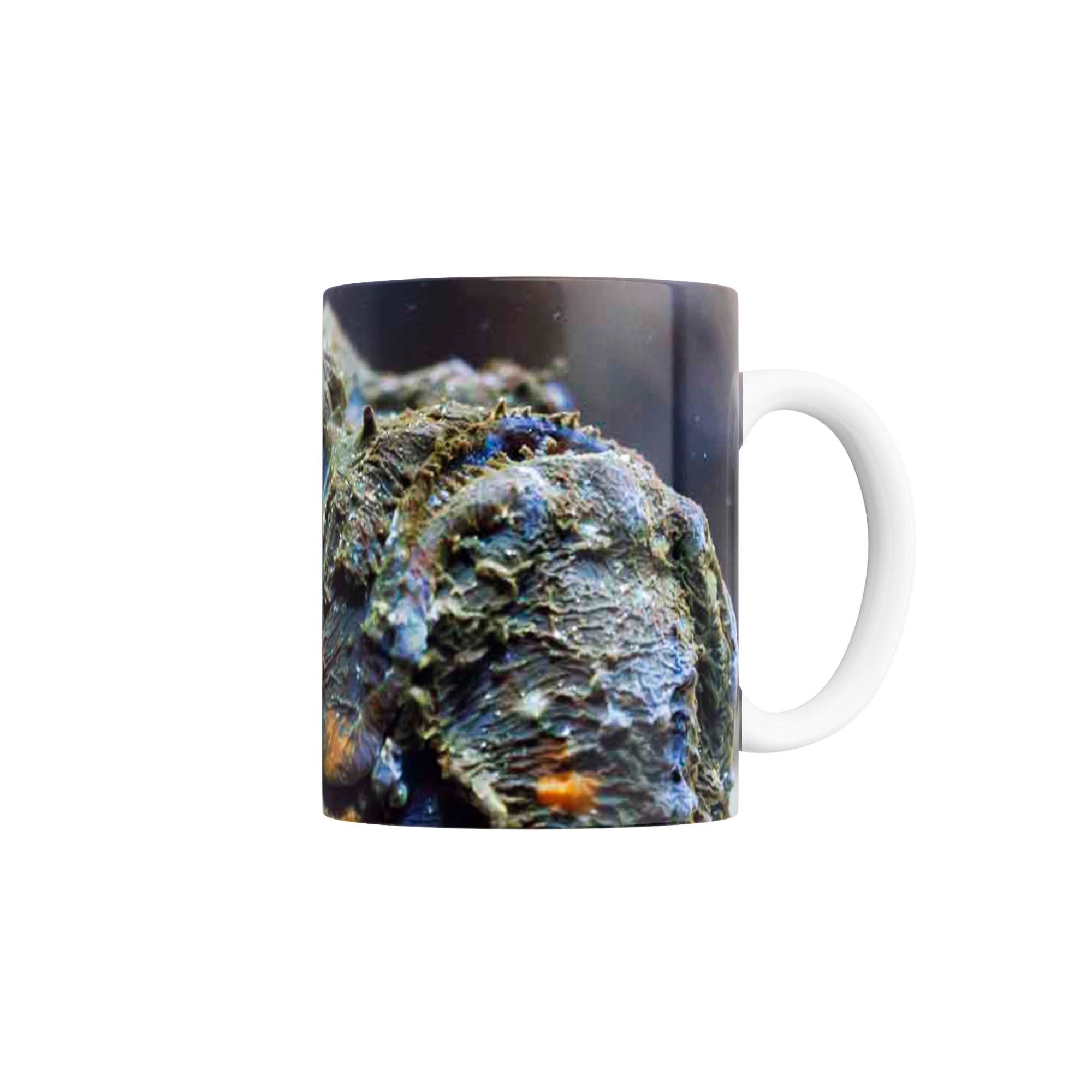 Taza Pez Piedra