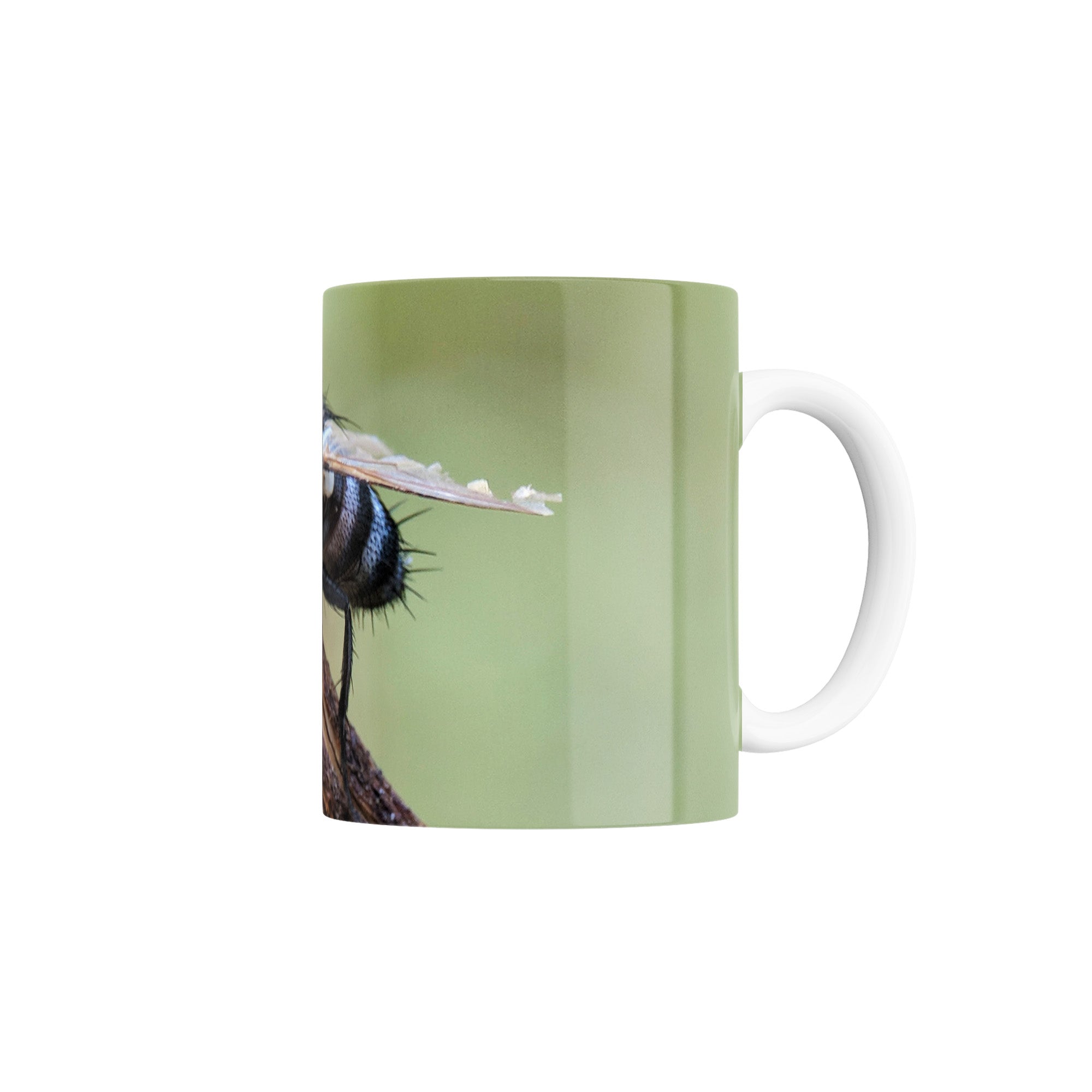 Taza Plaga de Egipto de las moscas