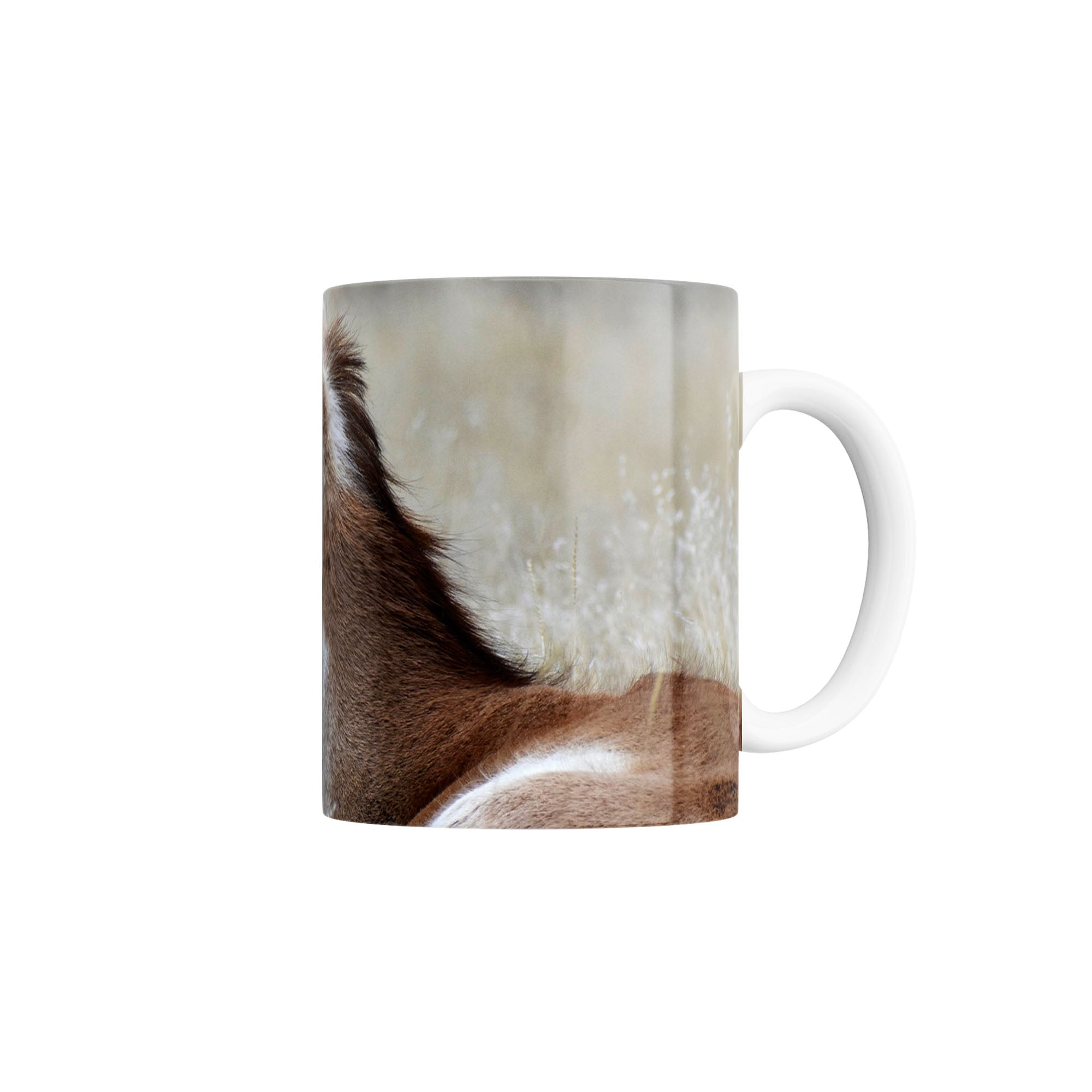 Taza Antílope americano (Antilocapra americana)