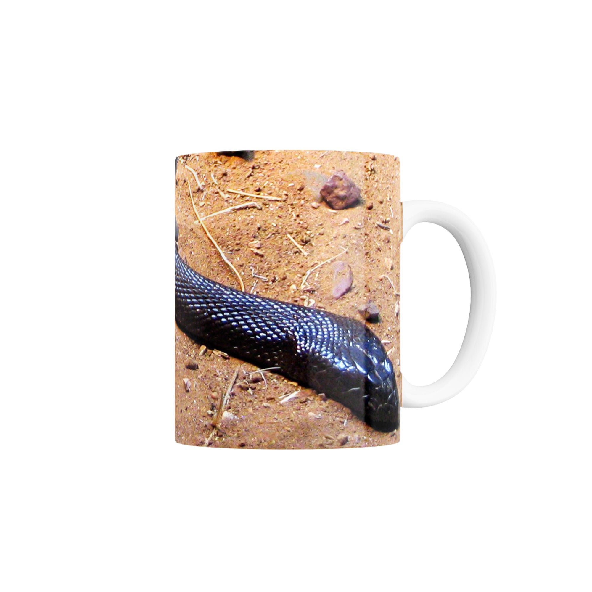 Taza Serpiente Taipán del Interior