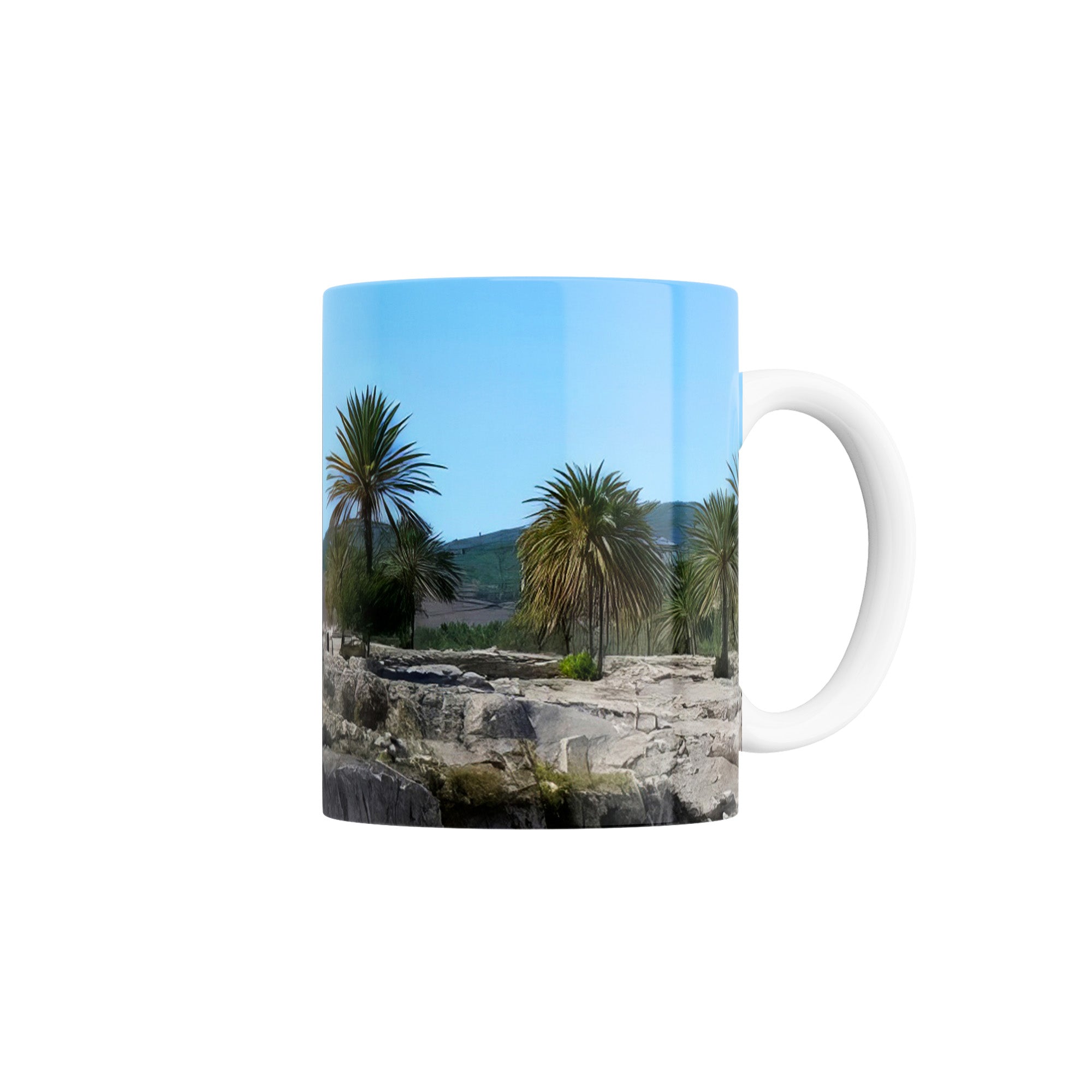 Taza Vista de Canaán con palmas