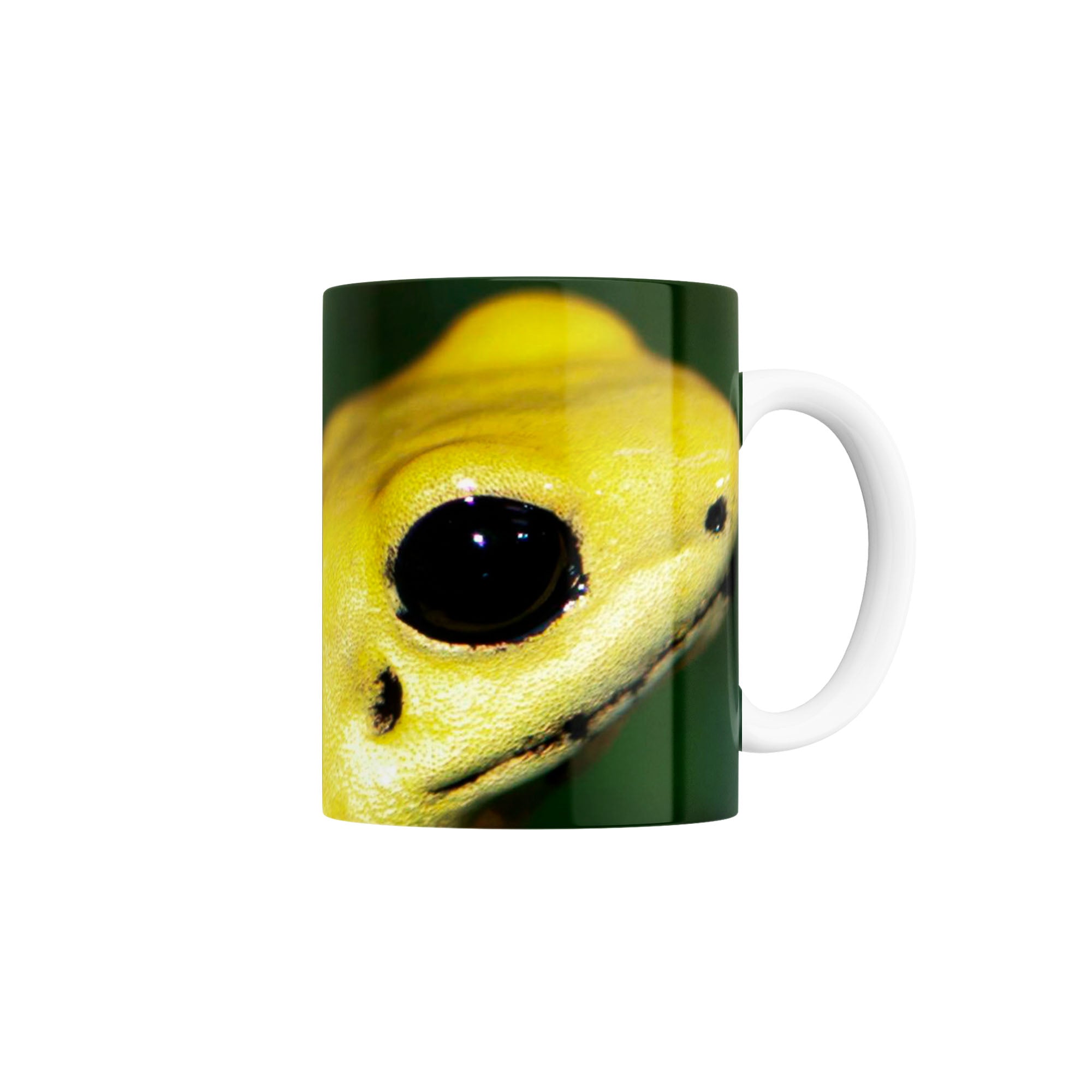 Taza Rana Dorada Venenosa