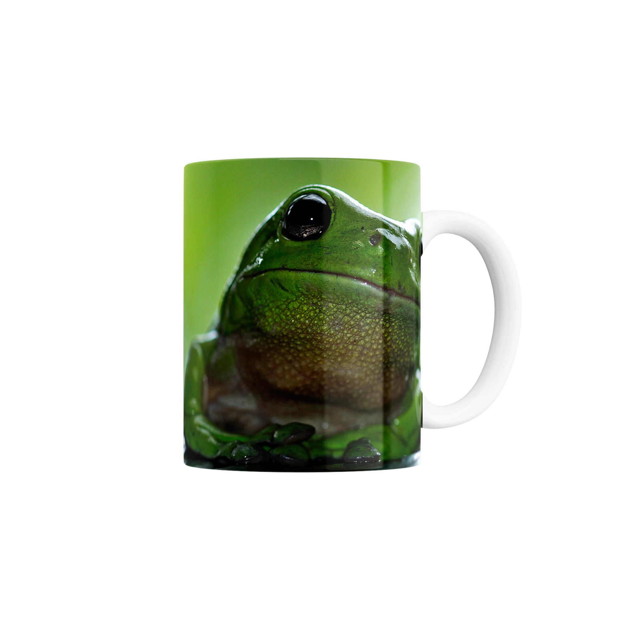 Taza Plaga de Egipto de las ranas