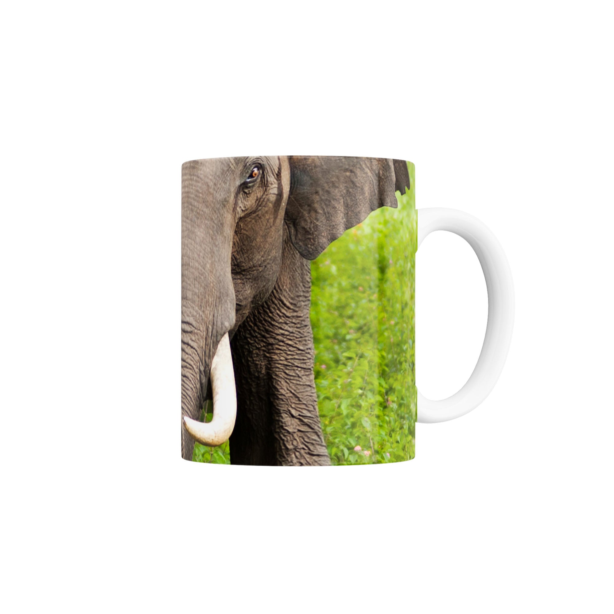 Taza Elefante Asiático en una pradera