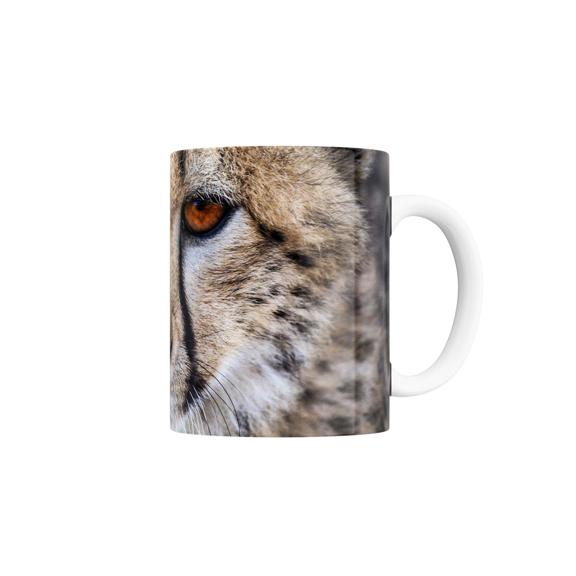 Taza Guepardo (Acinonyx jubatus)