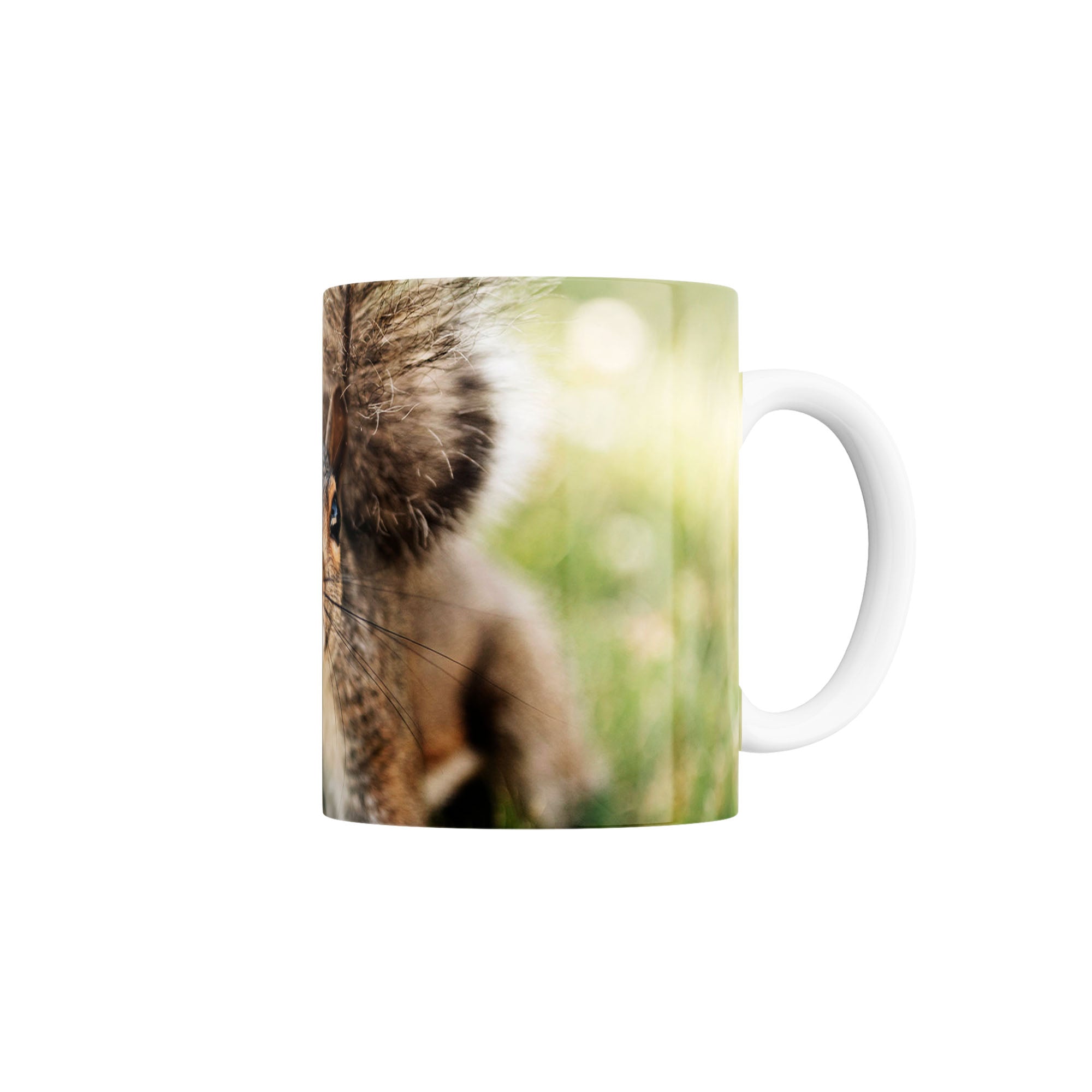 Taza Ardilla de las Carolinas (Sciurus carolinensis)