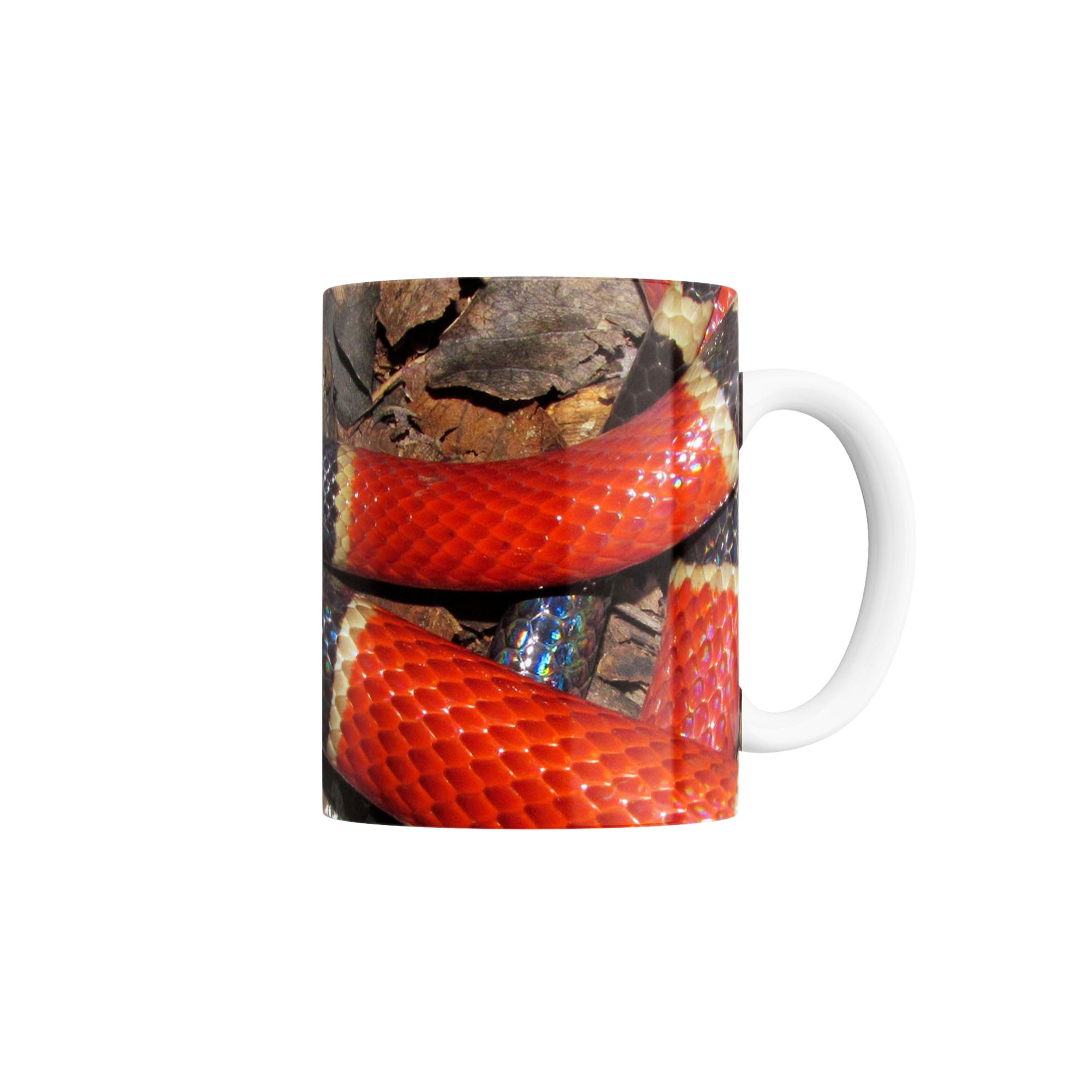 Taza Serpiente de Coral