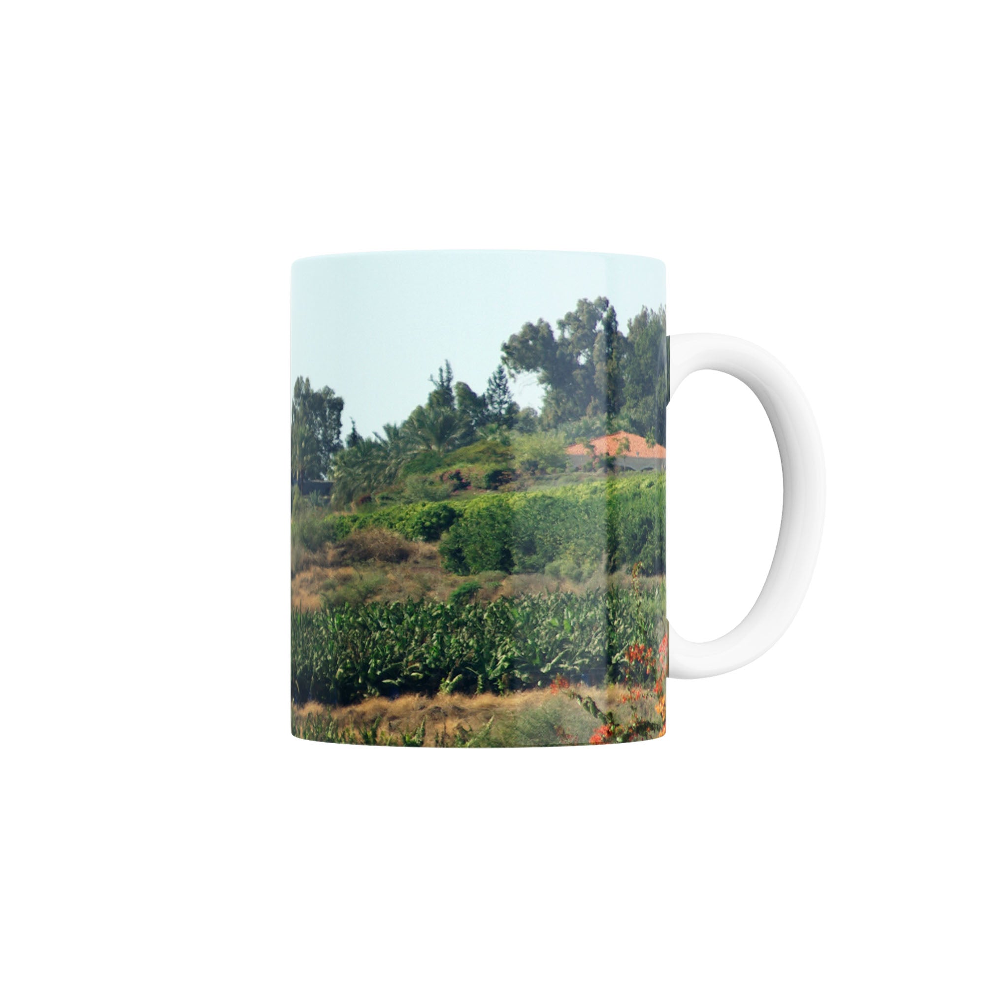 Taza Vista del Monte de las Bienaventuranzas