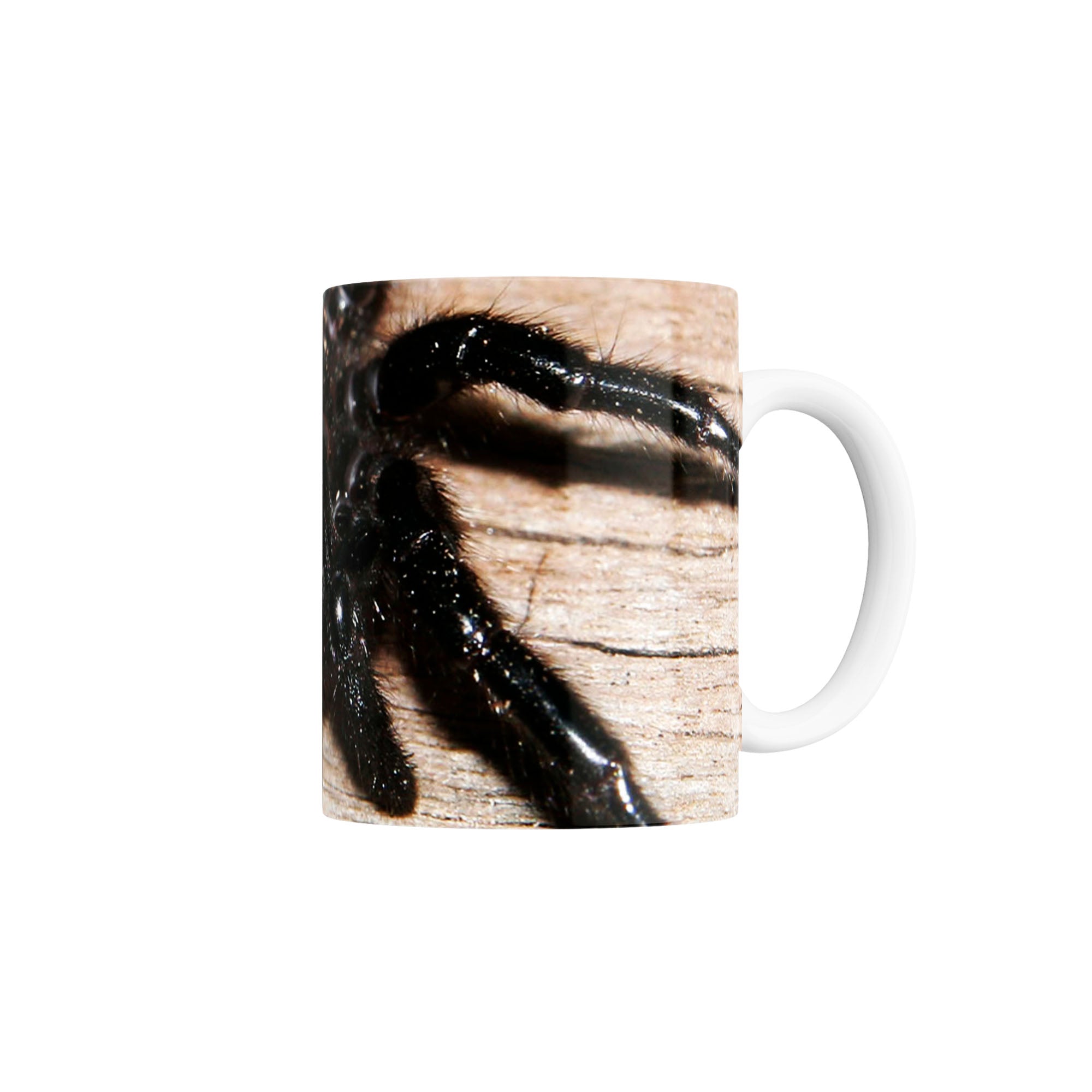 Taza Araña de Sídney