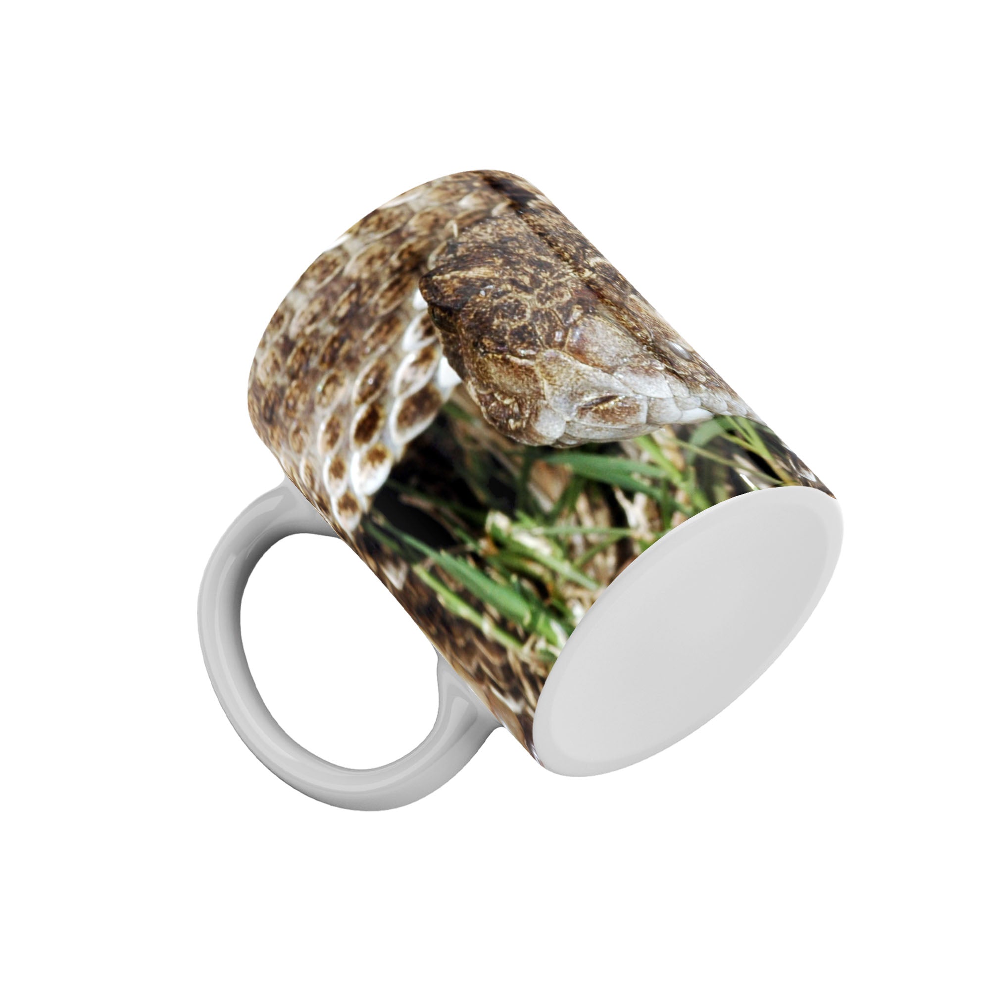 Taza Serpiente de Cascabel